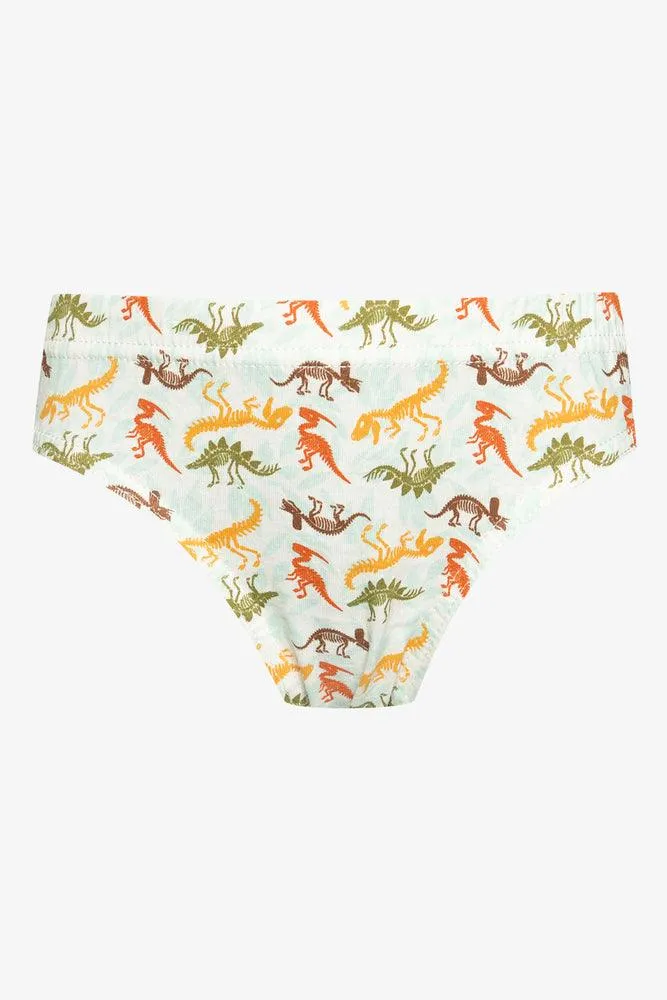 5 Pack Dino Briefs Multi