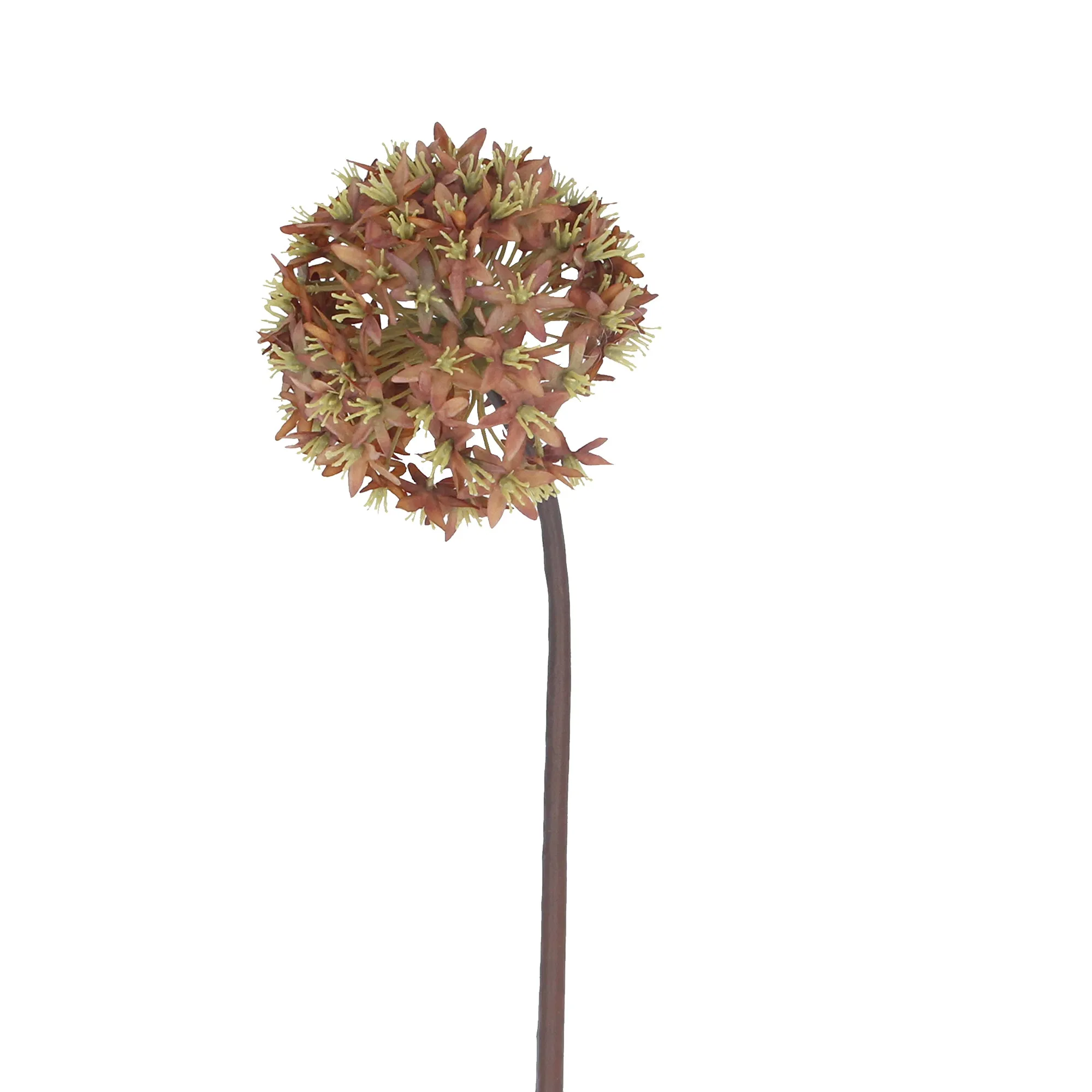 Antique russet allium stem