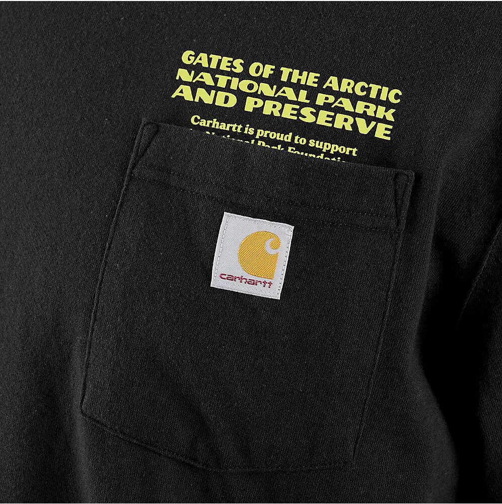 Carhartt Men's Loose Fit Heavyweight Long-Sleeve Gates Of The Arctic National Park Graphic T-Shirt