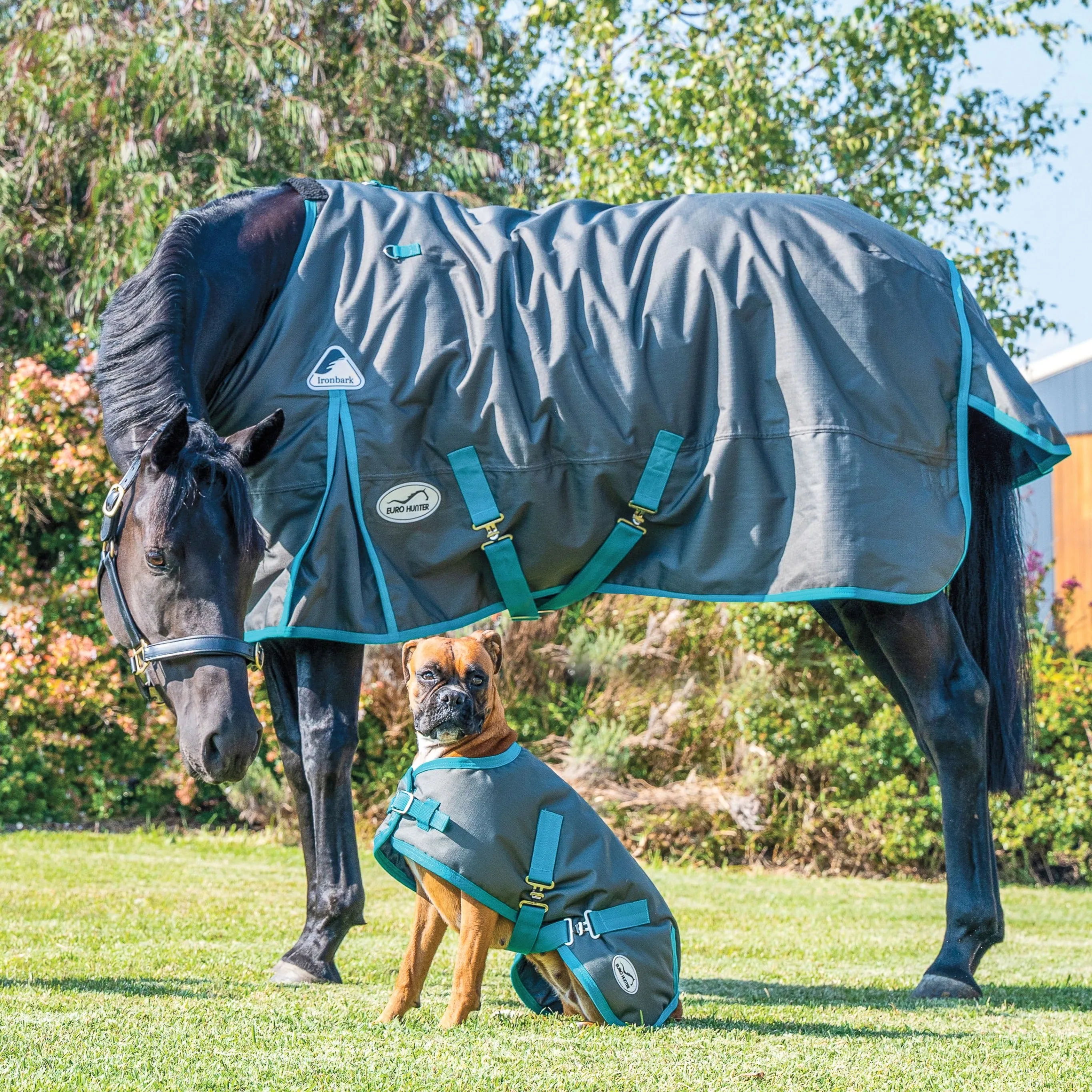 Eurohunter Ironbark Everyday Dog Rug