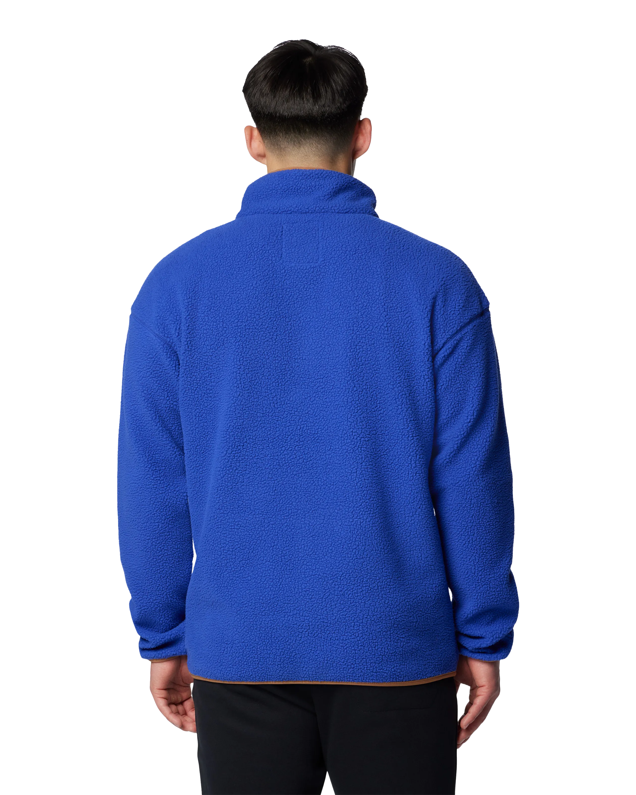 Helvetia II Half Snap Fleece Jacket in Clematis Blue