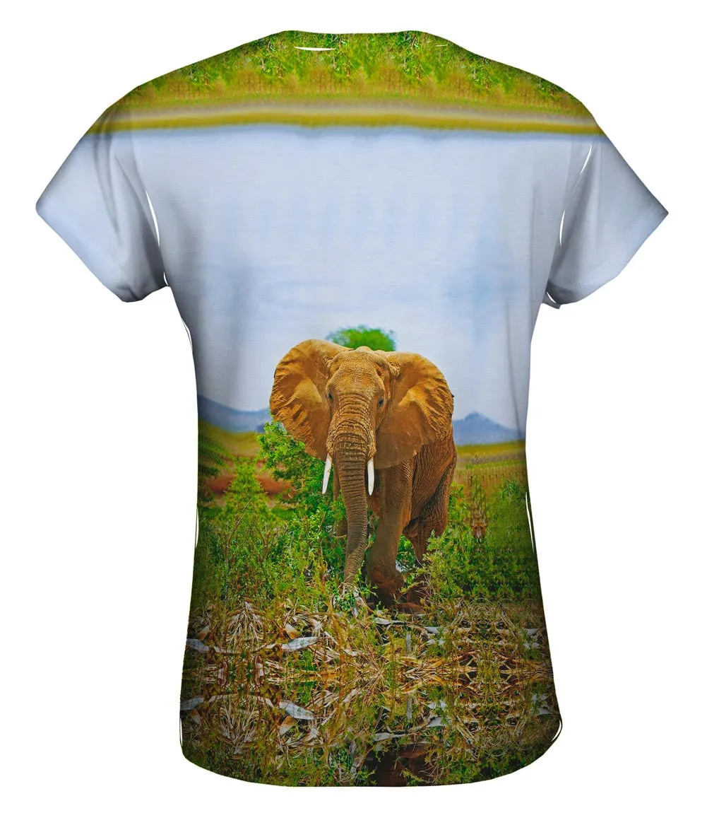 Safari Elephant