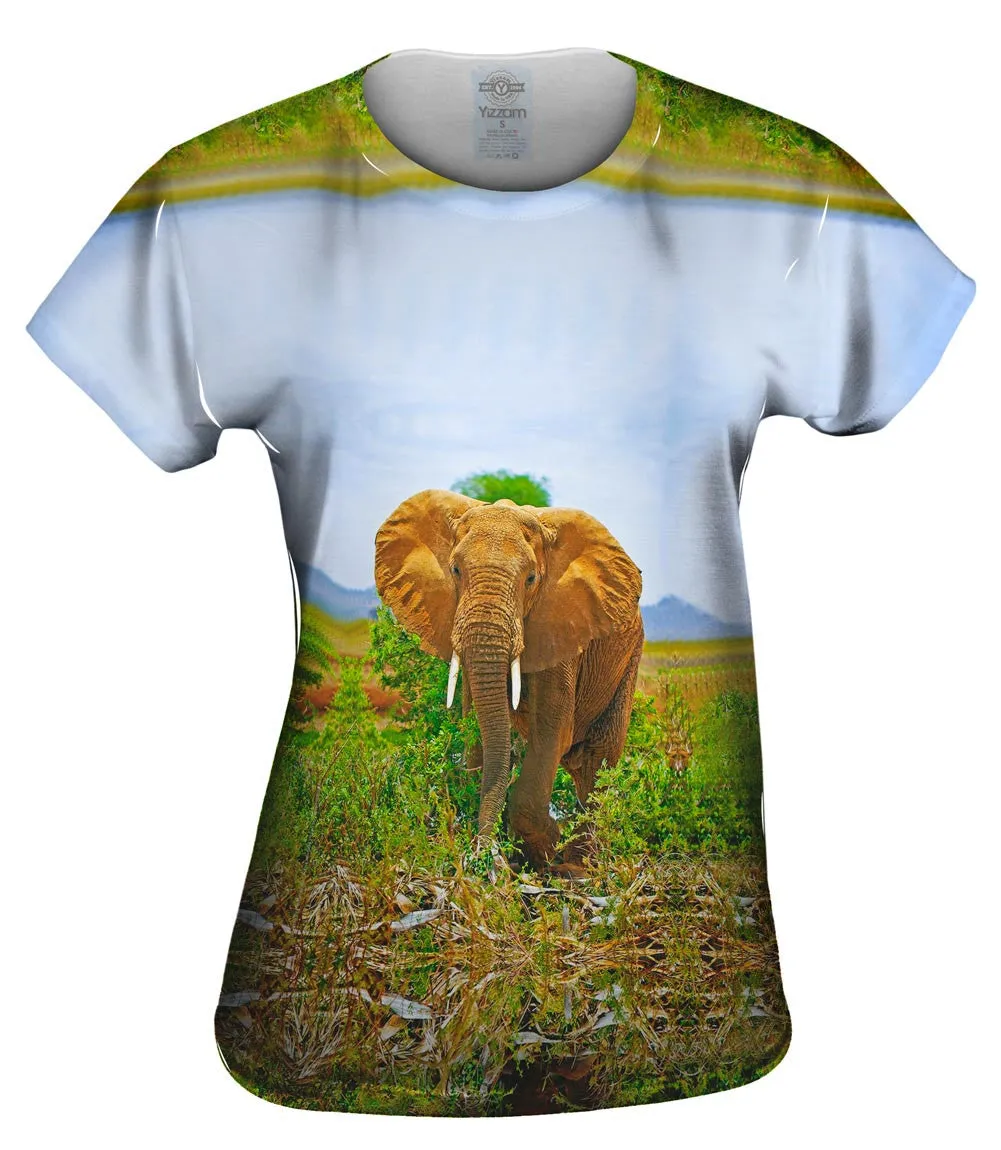 Safari Elephant